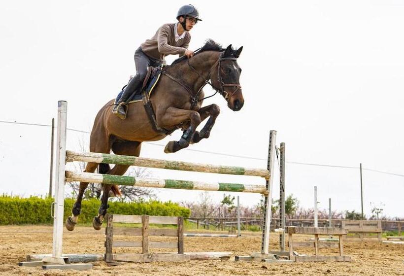 פנסיון Don Pietro Vacanze