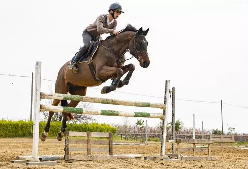 Majatalo Don Pietro Vacanze