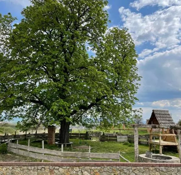 Majatalo Kastély Gróf Zichy