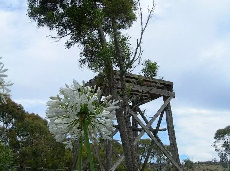 مبيت وإفطار Redcliffe House