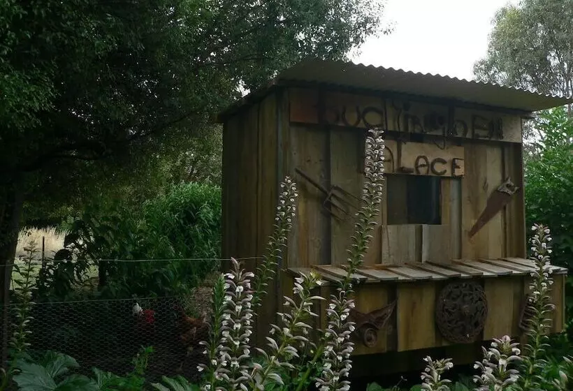 مبيت وإفطار Redcliffe House