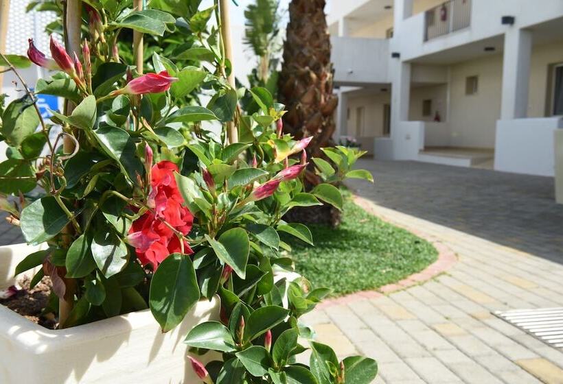 ホテル Donnosanto Residence