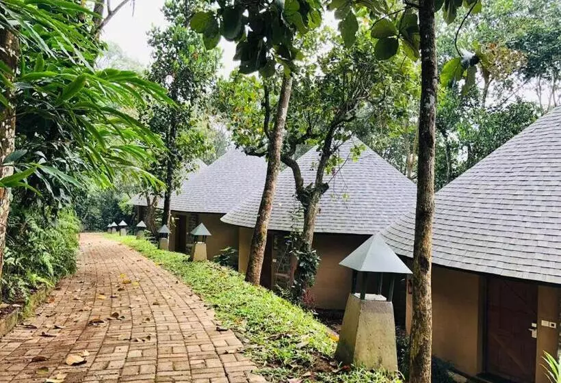 酒店 Poetree Thekkady