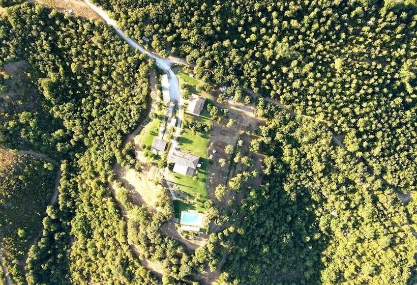 호텔 Tenuta Seripa