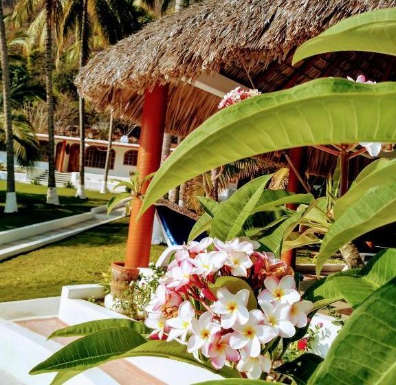 فندق Y Club Campestre Altos Paraiso