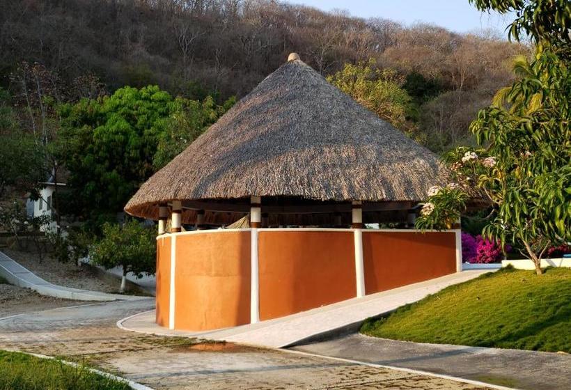 فندق Y Club Campestre Altos Paraiso