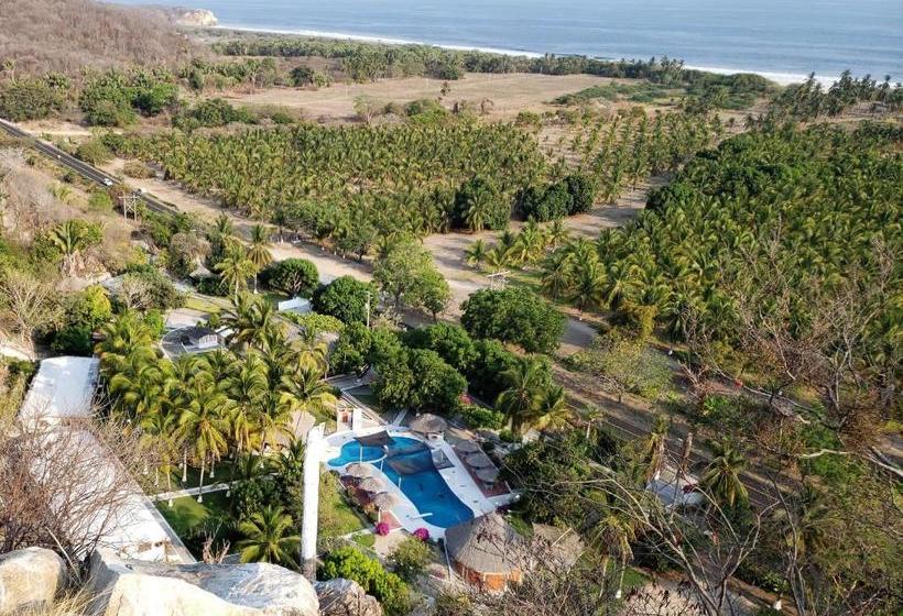 فندق Y Club Campestre Altos Paraiso