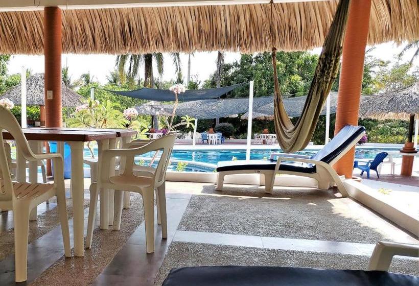 فندق Y Club Campestre Altos Paraiso