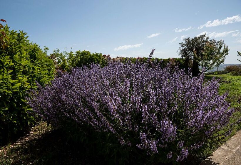 La Dimora Di Spartivento, Bw Signature Collection