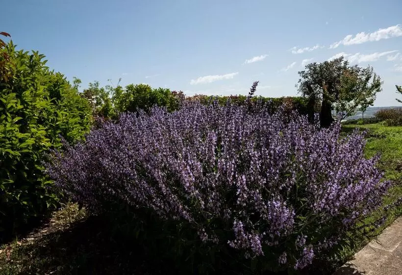 La Dimora Di Spartivento, Bw Signature Collection