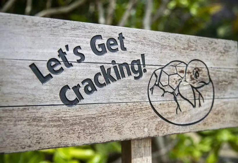 渡假胜地 Six Senses Con Dao Turtle Island Paradise