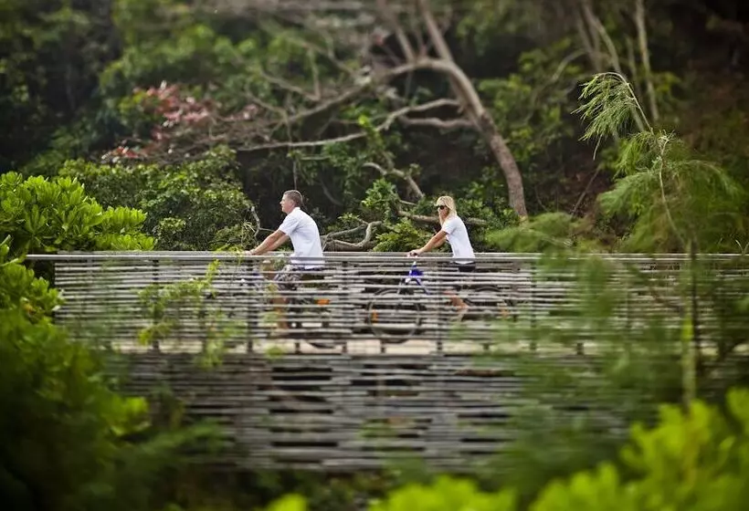 渡假胜地 Six Senses Con Dao Turtle Island Paradise