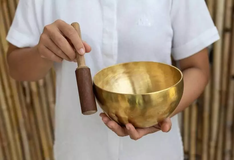 渡假胜地 Six Senses Con Dao Turtle Island Paradise