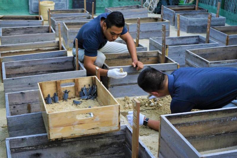 渡假胜地 Six Senses Con Dao Turtle Island Paradise