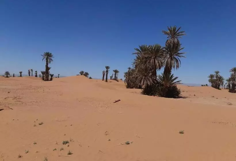 Aamiaismajoitus (B&B) Camp Mhamid Sahara Tours