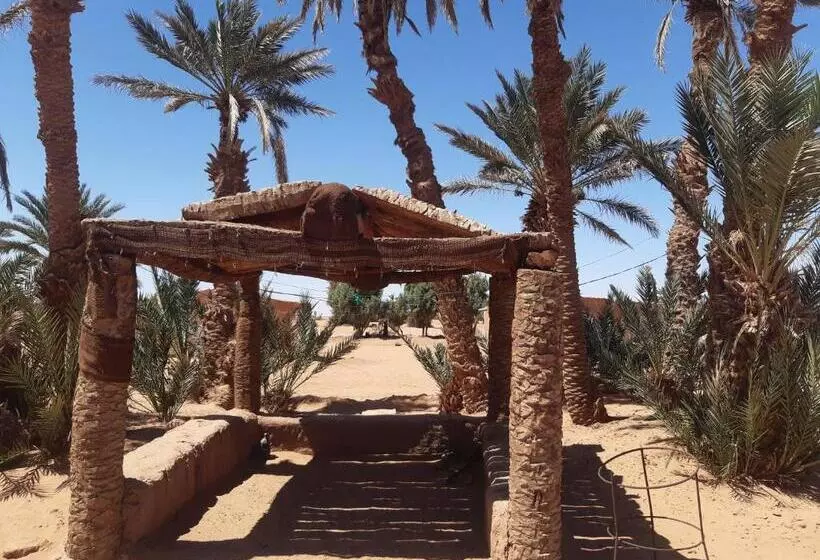 Aamiaismajoitus (B&B) Camp Mhamid Sahara Tours