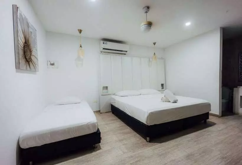 ペンション Room In Lodge   Double Rooms San Andres Island In Colombia