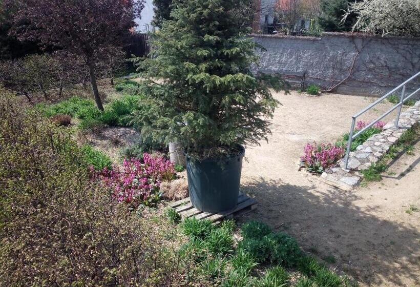 旅馆 Havranův Dům Suchohrdly