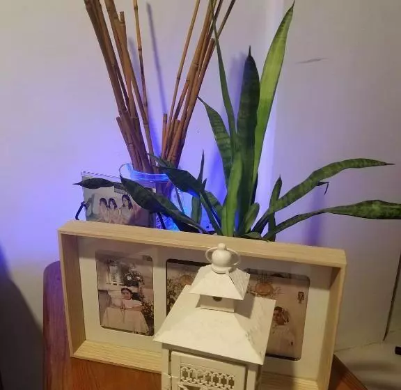 ユースホステル Skylab Guesthouse