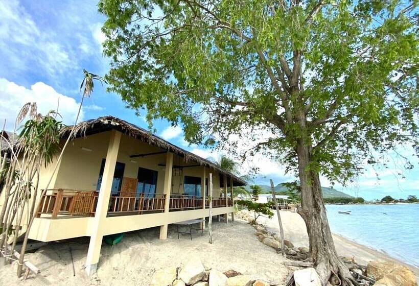 فندق Absolute Beachfront Villas