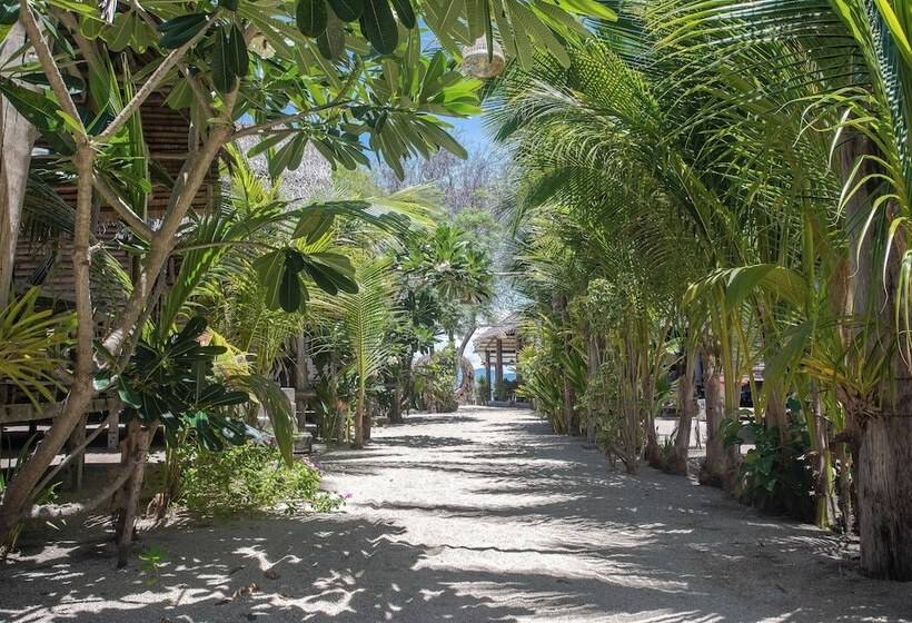 فندق Absolute Beachfront Villas