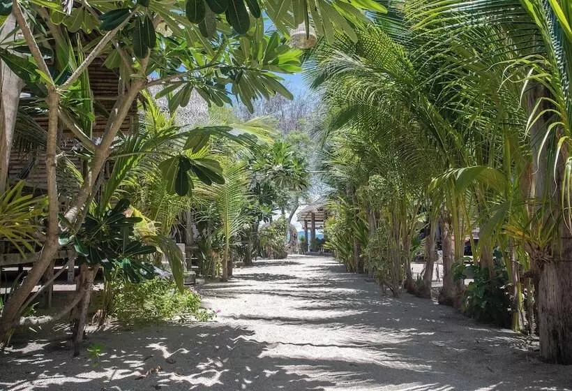 Hotelli Absolute Beachfront Villas