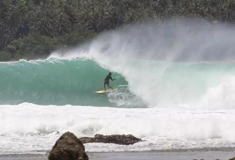 ペンション Nias Surf Stay