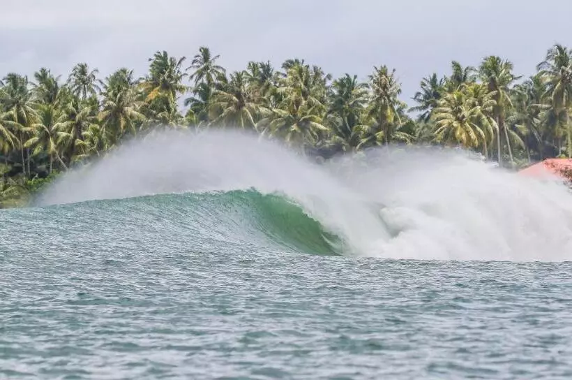 ペンション Nias Surf Stay