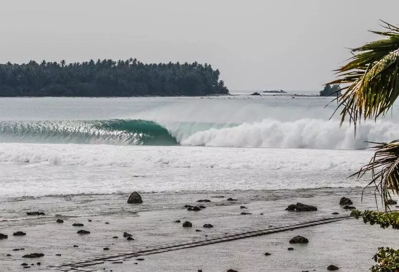 ペンション Nias Surf Stay