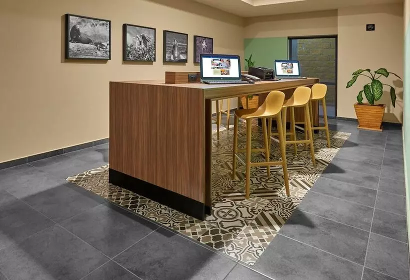 Hotell City Express Suites By Marriott Cabo San Lucas