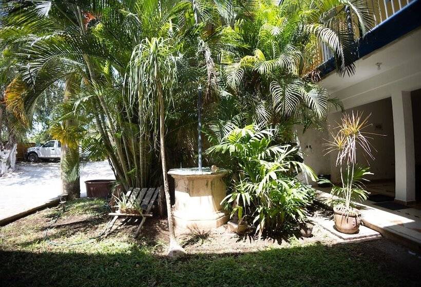 Hotel Nicte Ha Campeche