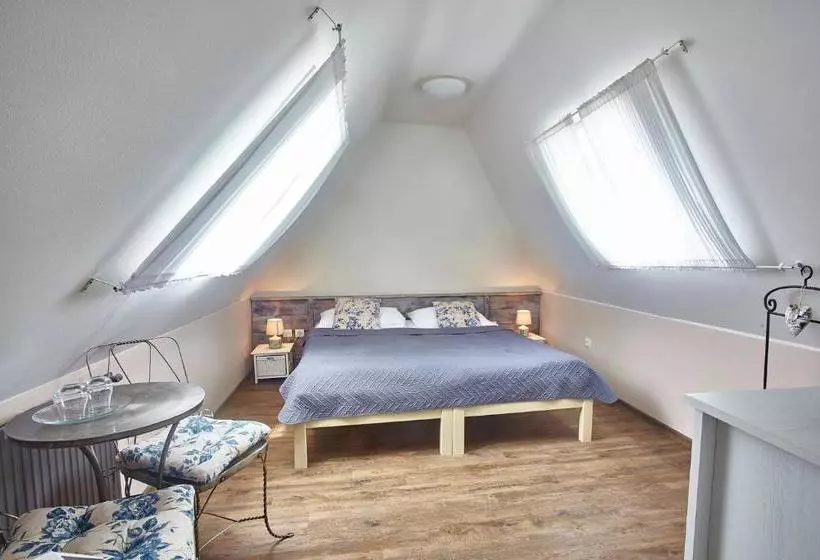 هتل Penzion Kostnický Dům