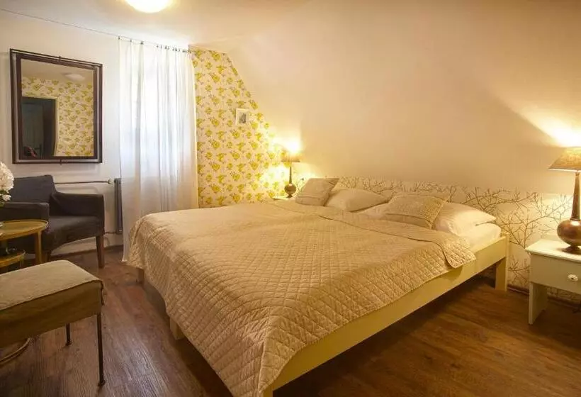 هتل Penzion Kostnický Dům