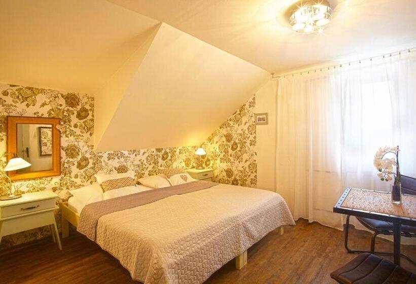 호텔 Penzion Kostnický Dům