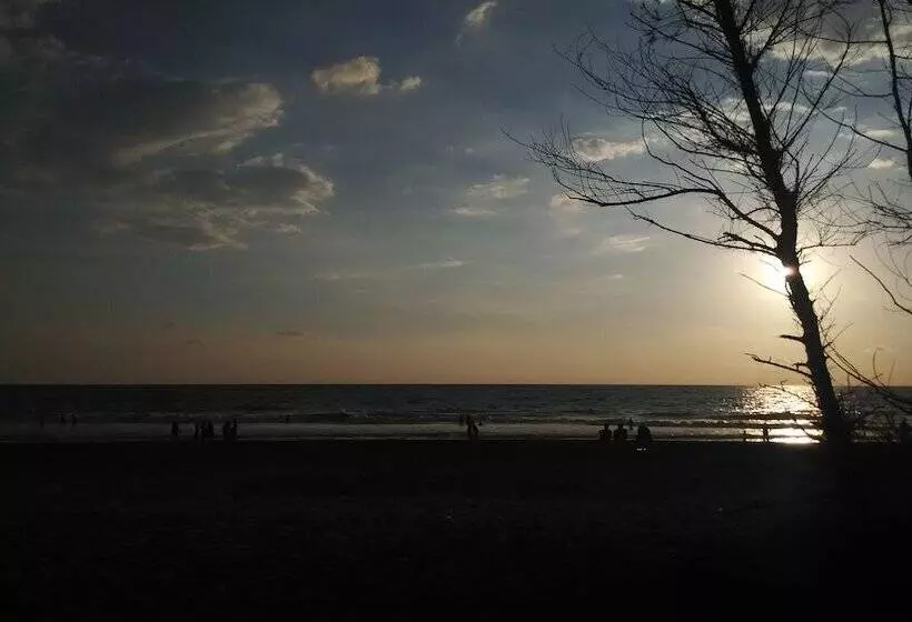 Hôtel Ss Beach Resort