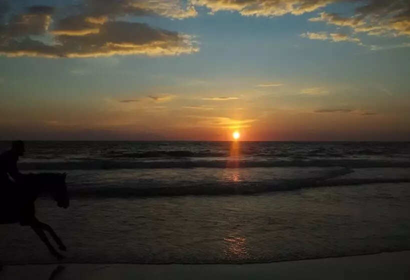 Hôtel Ss Beach Resort