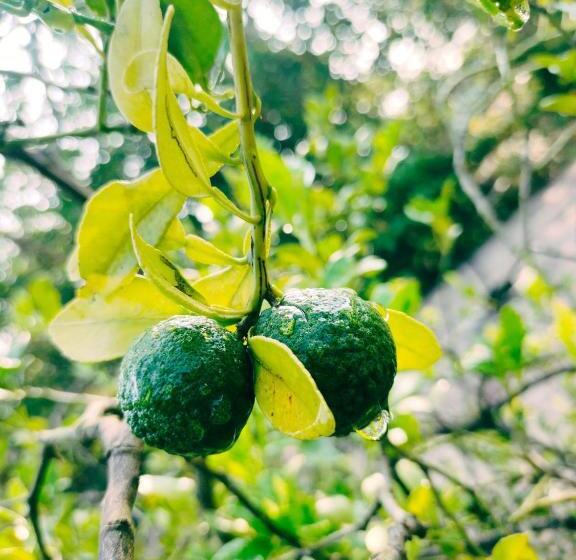 פנסיון Achayans Homestay Mararikulam