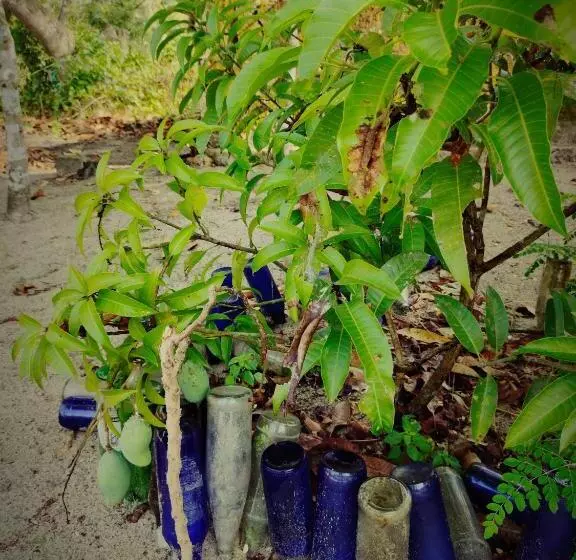 펜션 Achayans Homestay Mararikulam