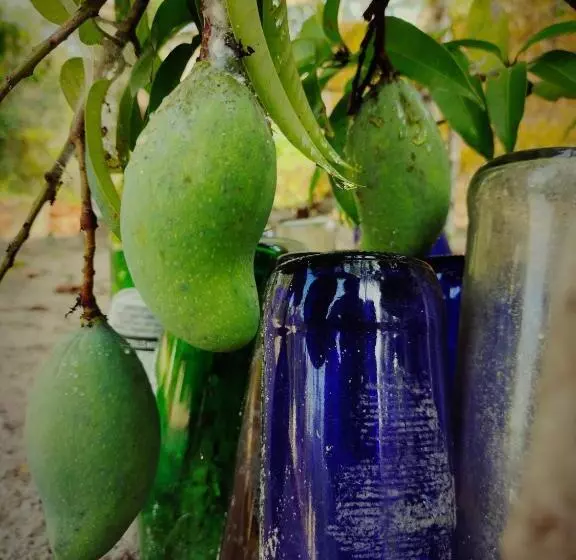 펜션 Achayans Homestay Mararikulam