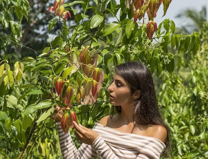 Villa Mayurana By Edwards Collection