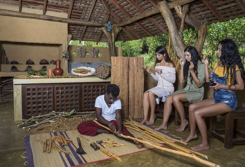 Villa Mayurana By Edwards Collection