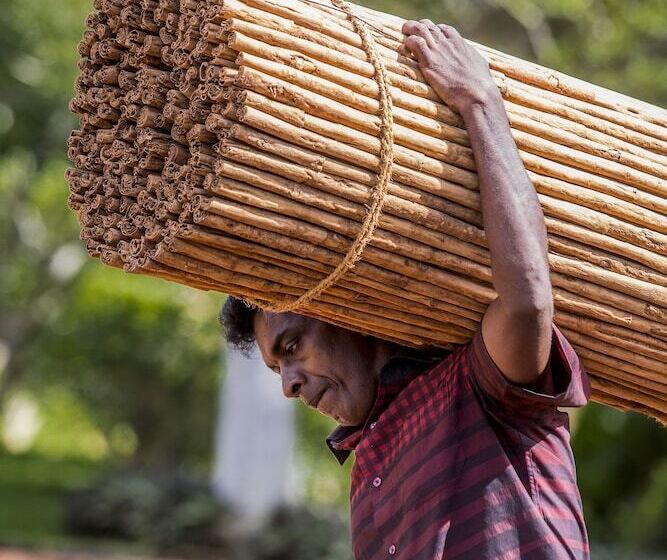 Villa Mayurana By Edwards Collection