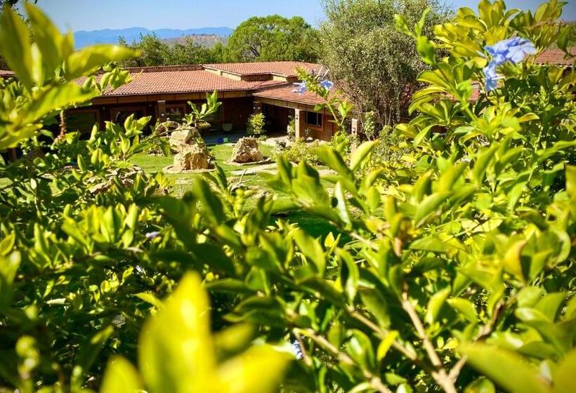 Отель Boutique Matea Inn