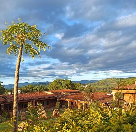 Отель Boutique Matea Inn