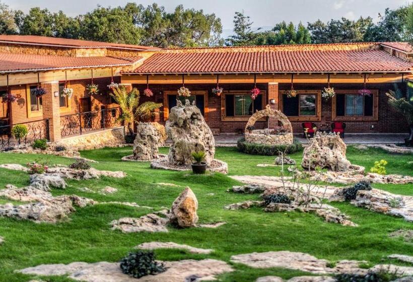 Отель Boutique Matea Inn