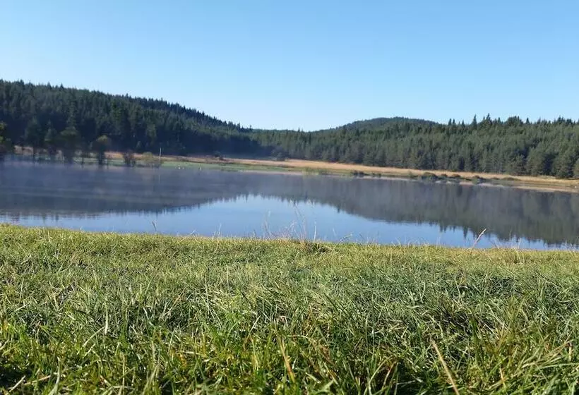 호텔 Kaya Greenpark