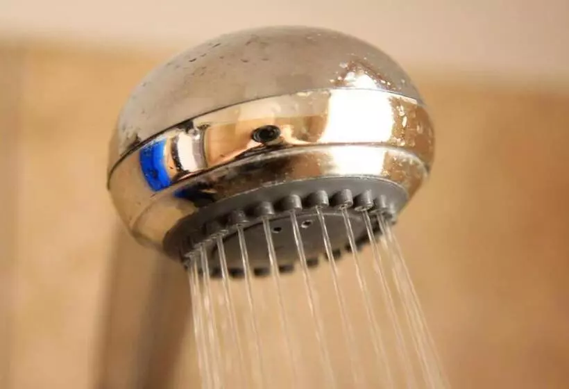 בית מלון כפרי Plaza