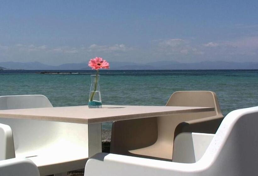 בית מלון כפרי Plaza