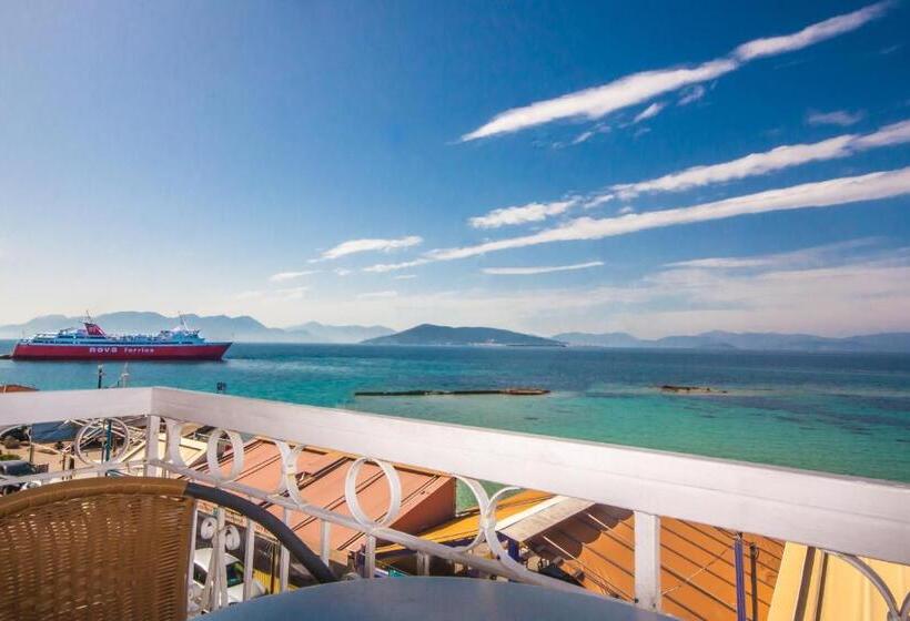 בית מלון כפרי Plaza