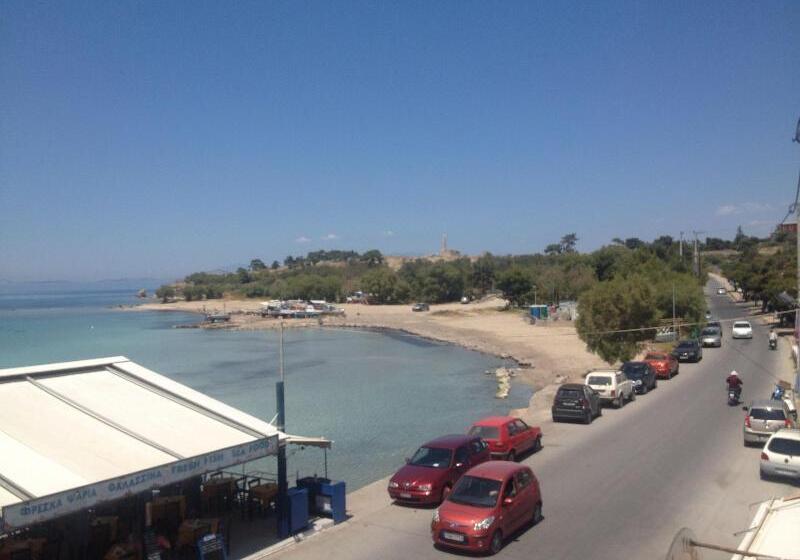 בית מלון כפרי Plaza